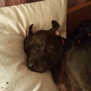 Meet your Posher, Deb